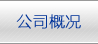 技術(shù)實(shí)力